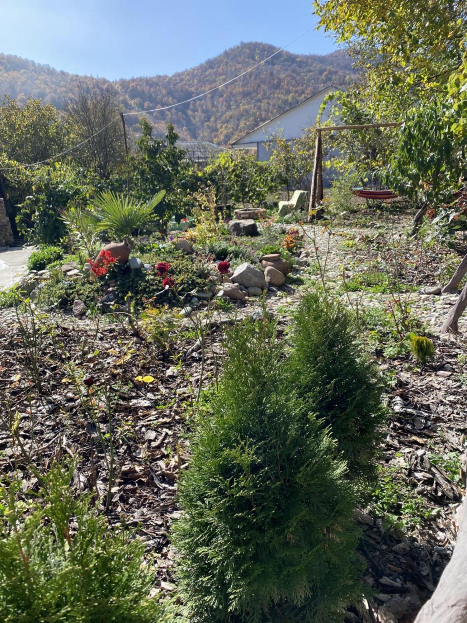 Green Park Guest House Dilijan Ngoại thất bức ảnh
