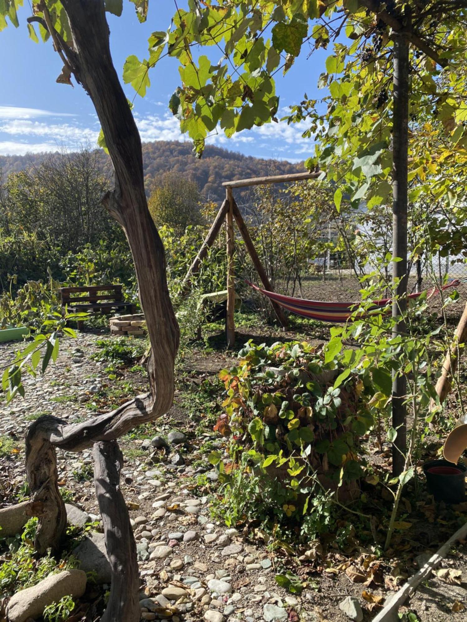 Green Park Guest House Dilijan Ngoại thất bức ảnh