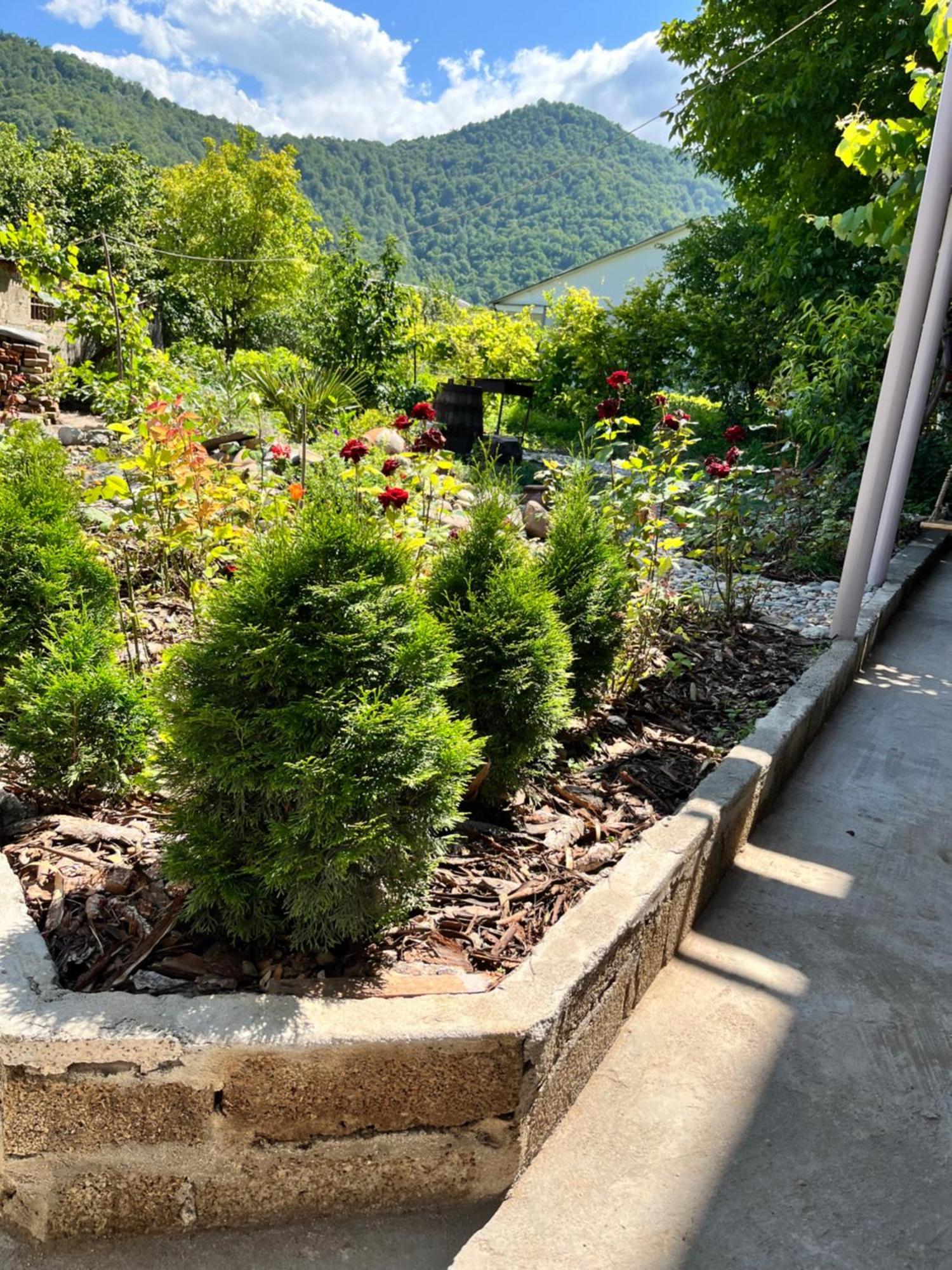 Green Park Guest House Dilijan Ngoại thất bức ảnh